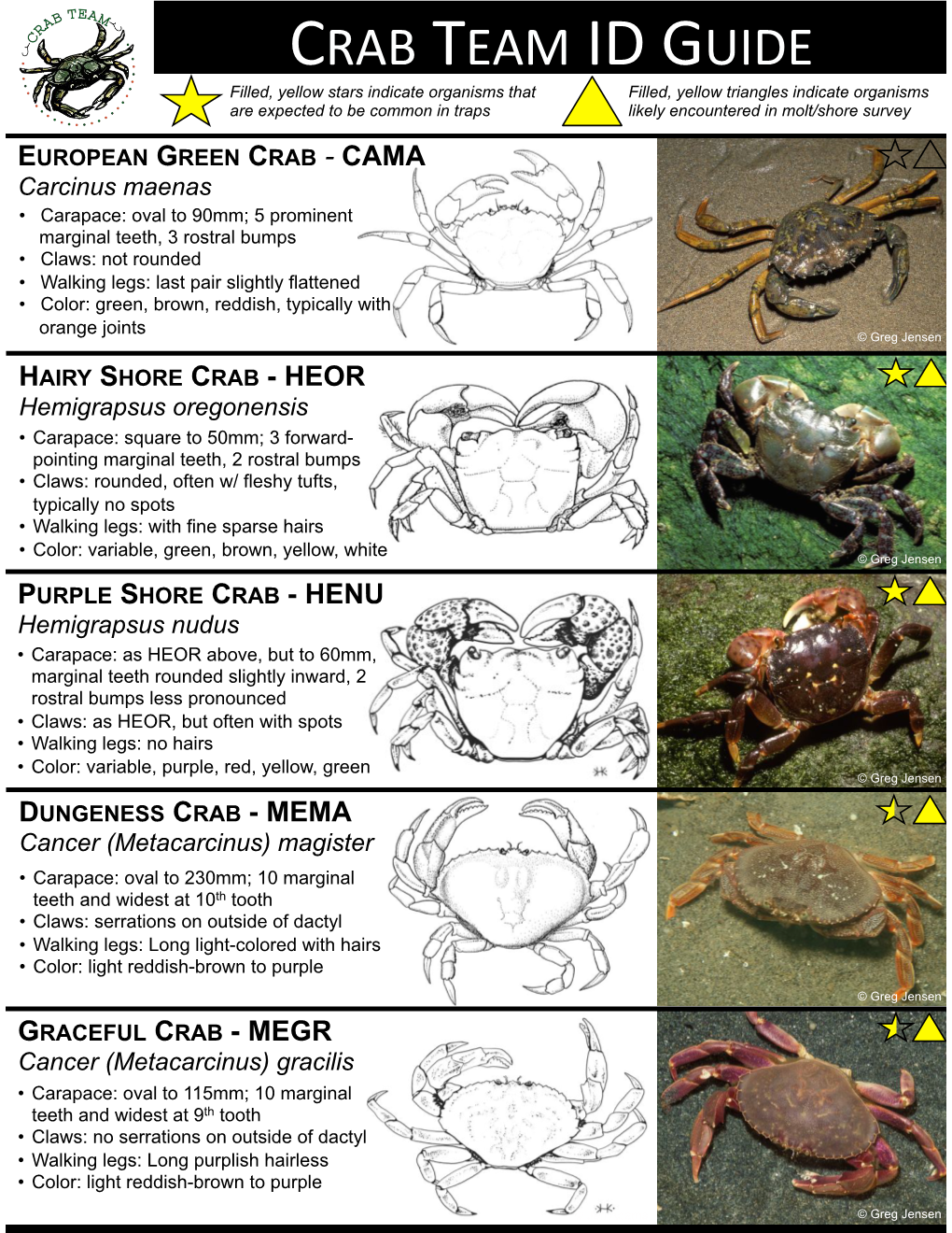 Crab Team Id Guide