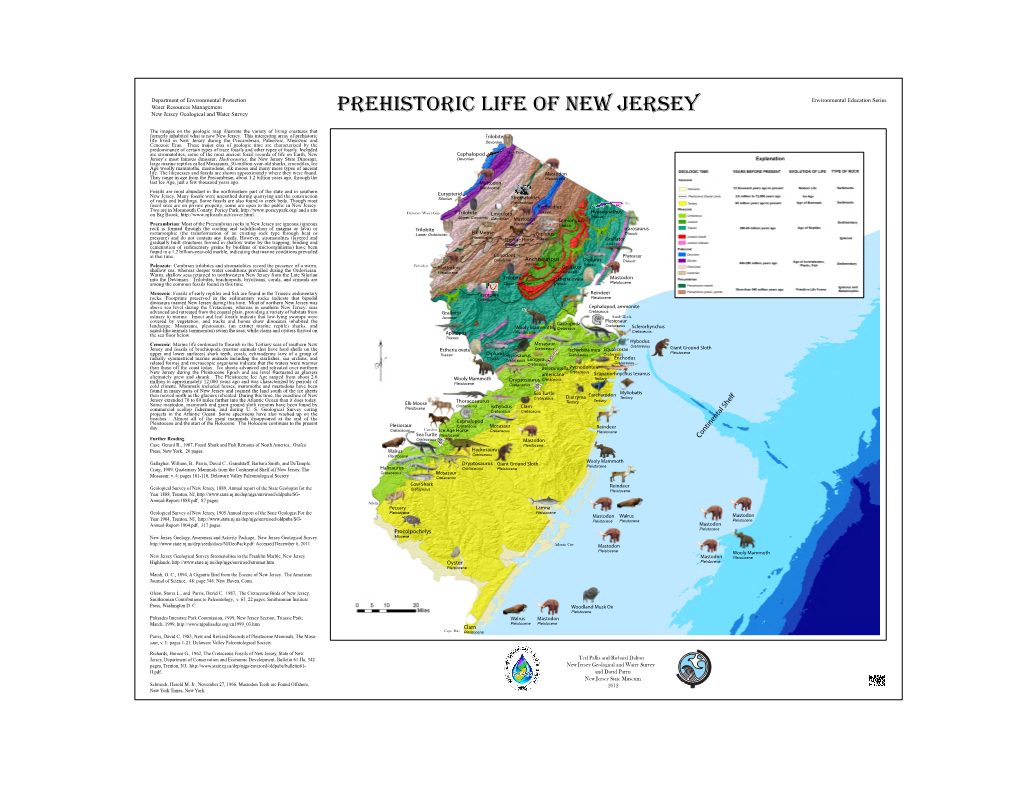 Prehistoric Life of New Jersey New Jersey Geological and Water Survey