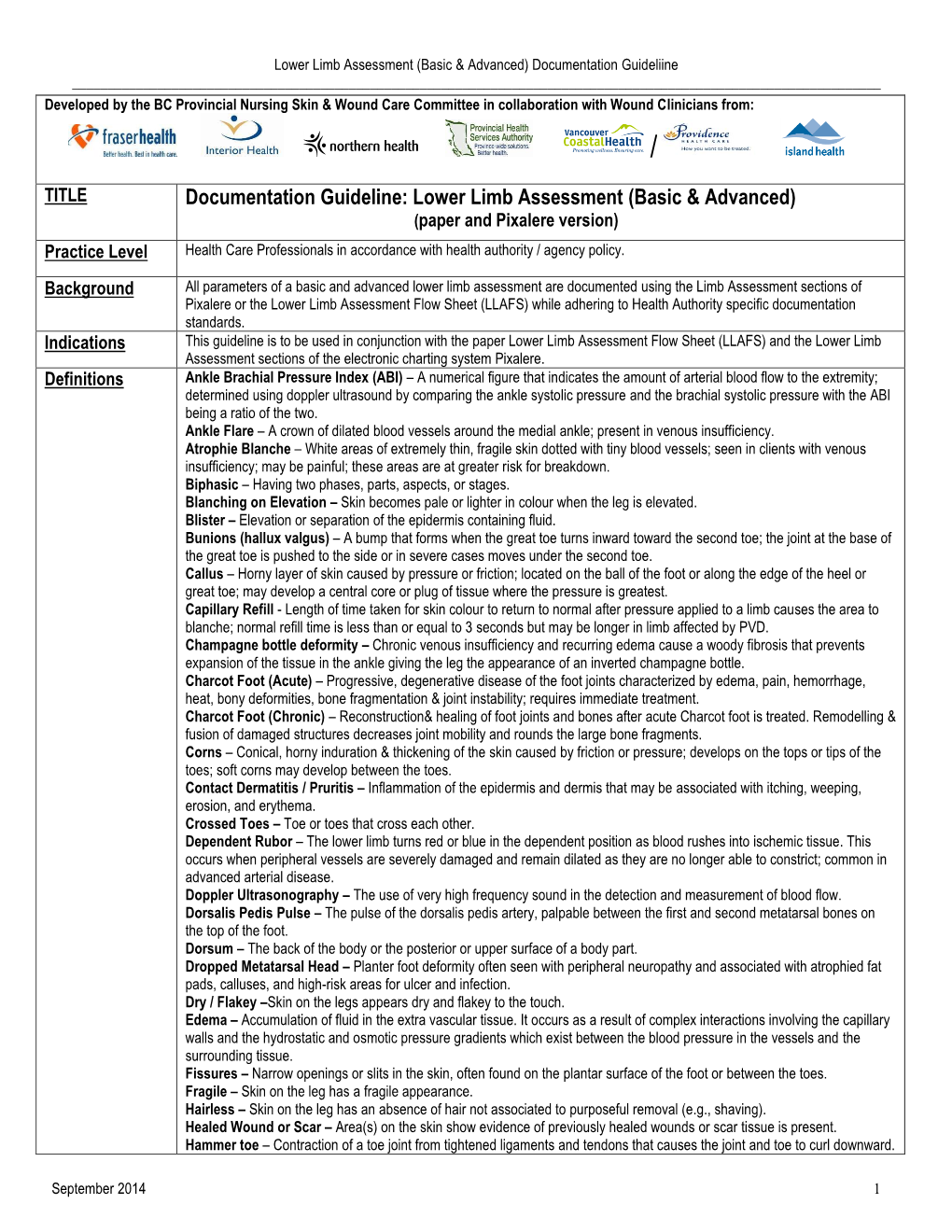 Documentation Guideline: Lower Limb Assessment (Basic & Advanced)