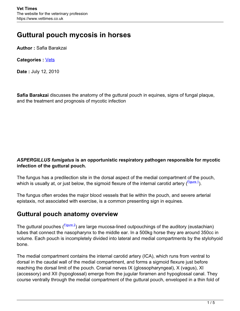 Guttural Pouch Mycosis in Horses