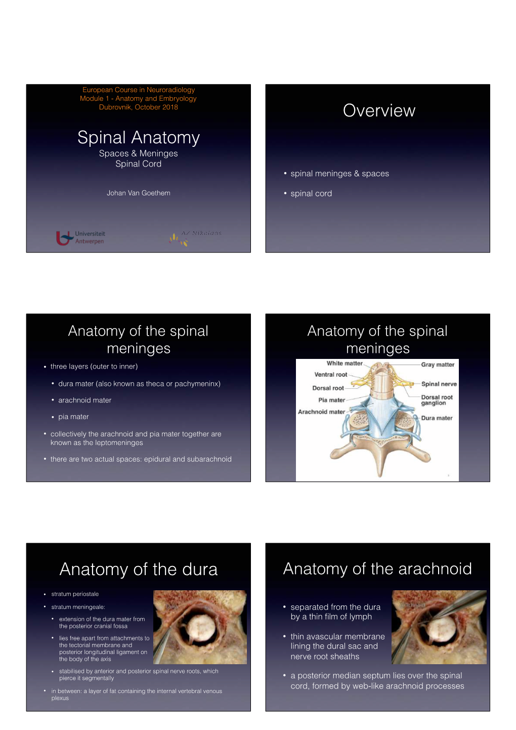 40505-Functional Anatomy of the Spinal Cord