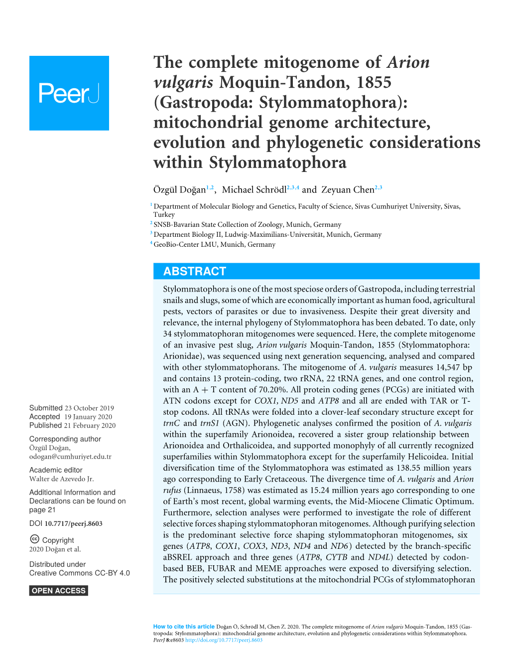 The Complete Mitogenome of Arion Vulgaris Moquin-Tandon, 1855