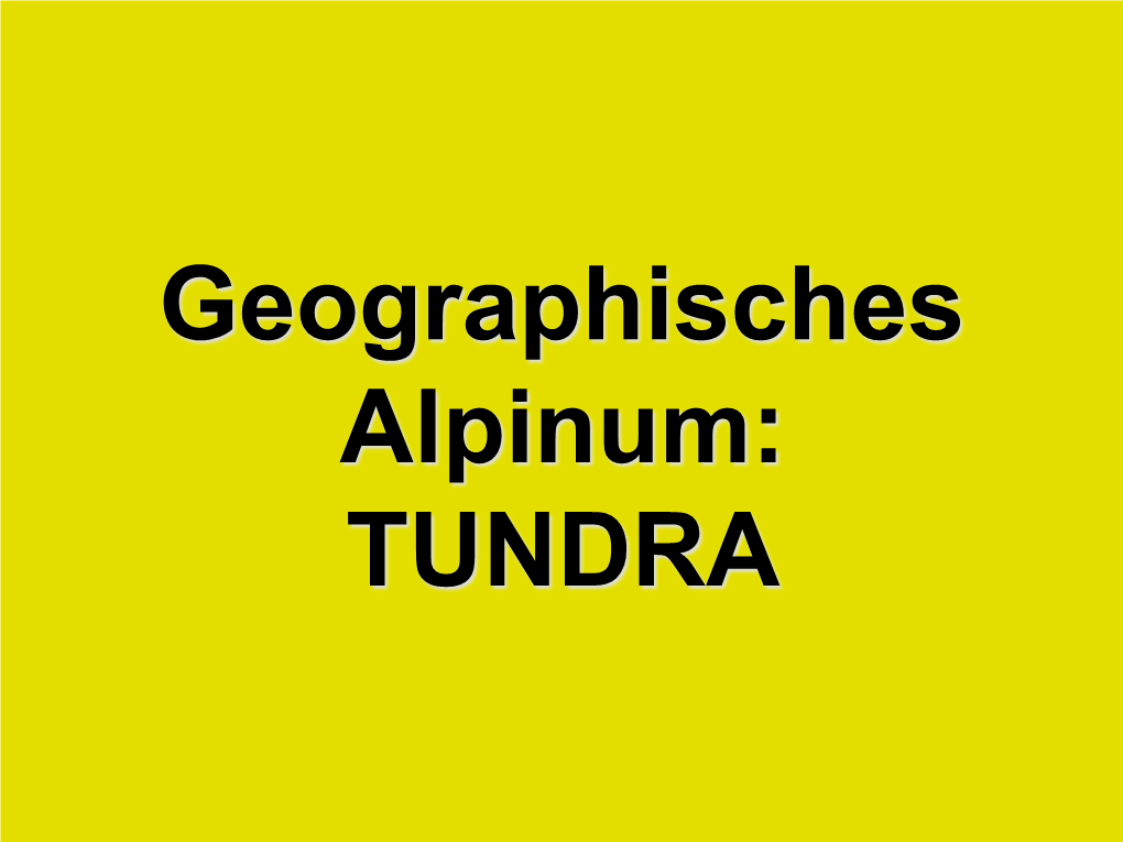 Geographisches Alpinum: TUNDRA TUNDRA Tundra