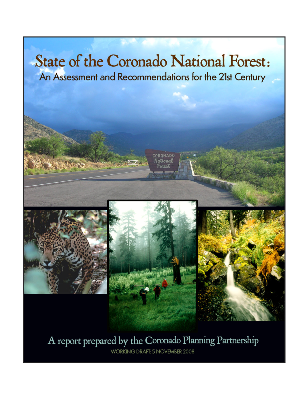 State of the Coronado National Forest: Chapter 1, Overview