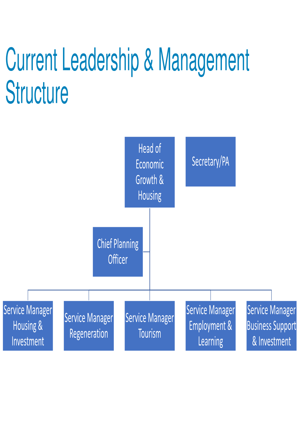 Current Leadership & Management Structure
