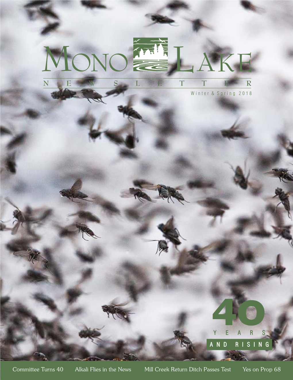 2018 Winter & Spring Mono Lake Newsletter