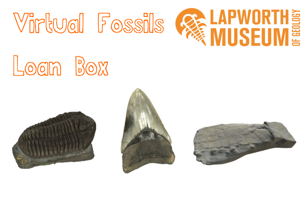 Virtual Fossils Loan Box