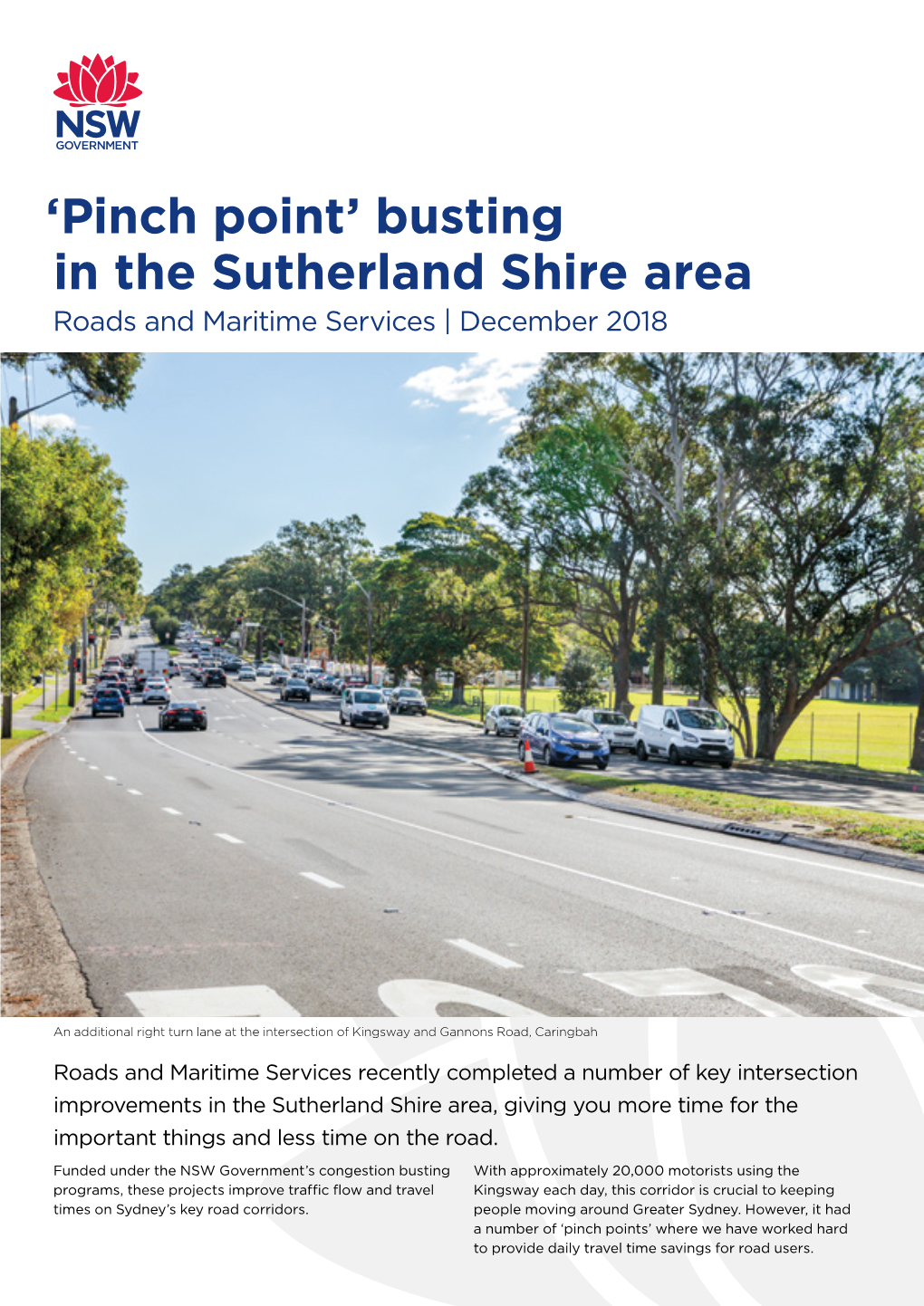 Busting in the Sutherland Shire Area December Community Update