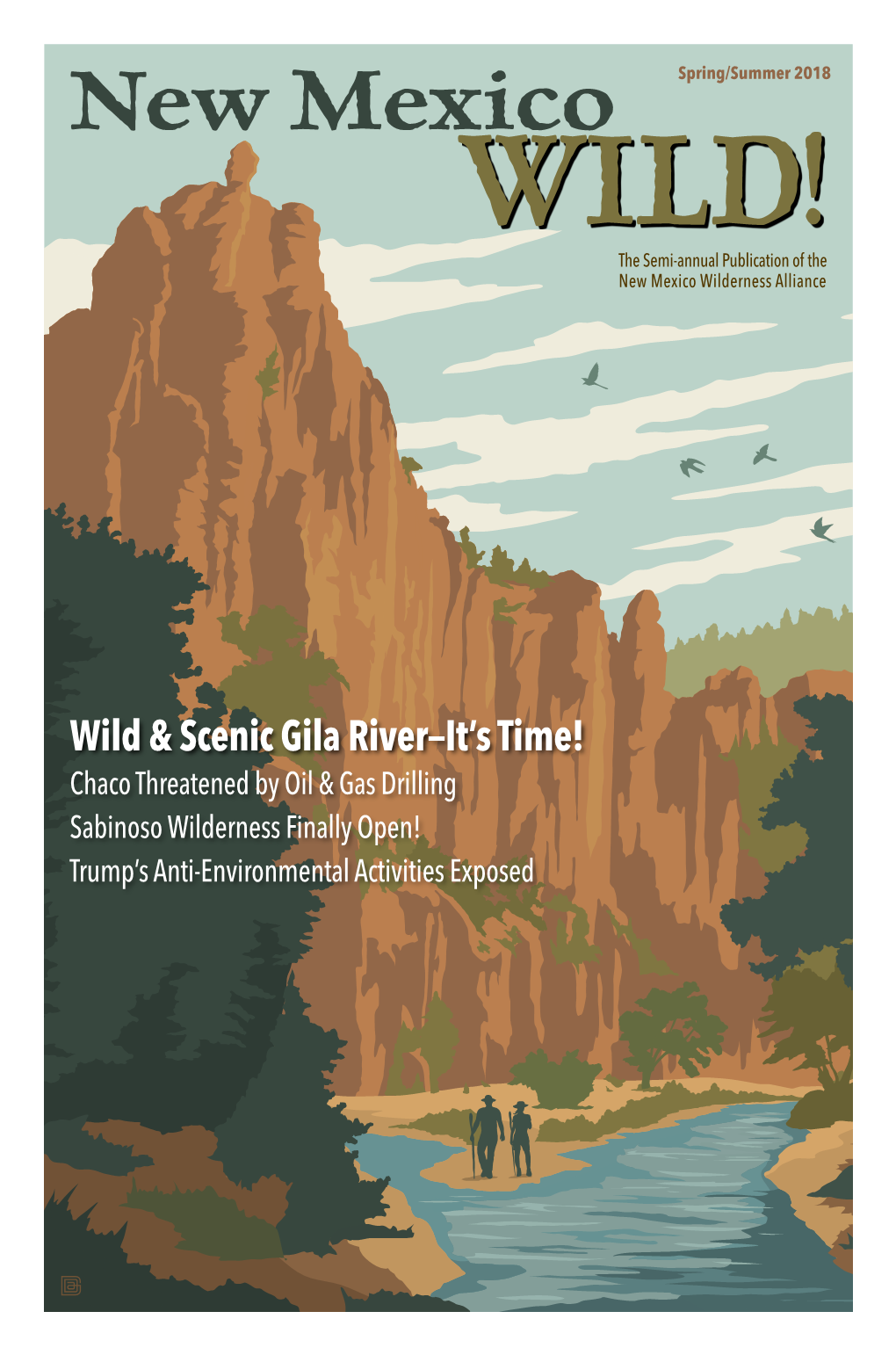 Wild & Scenic Gila River—It's Time!