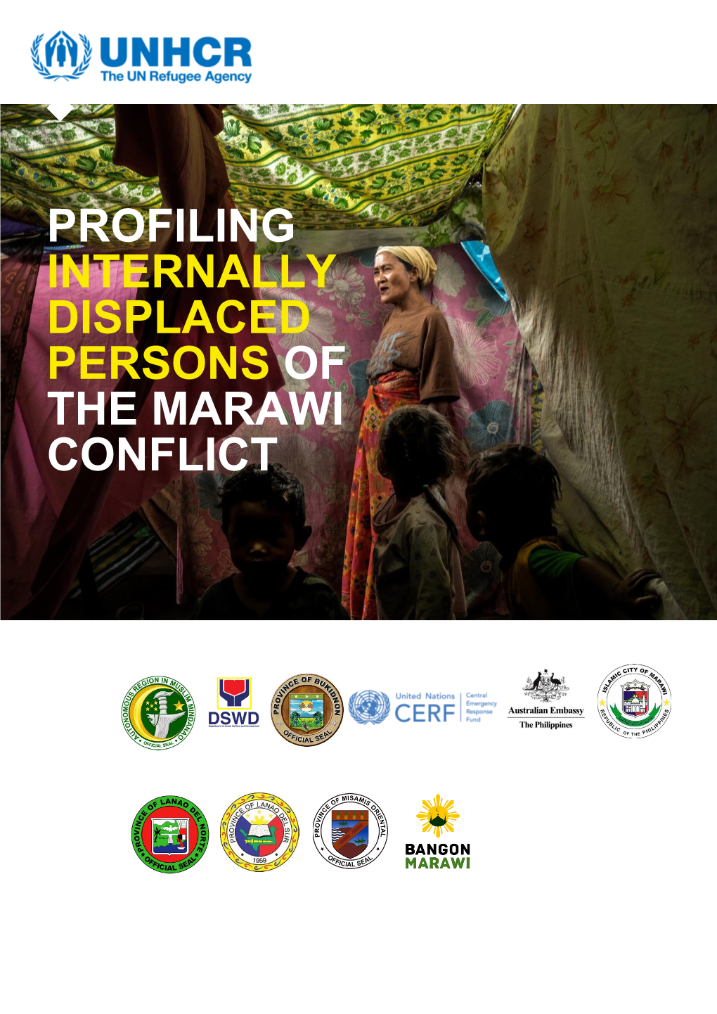 Profiling Internally Displaced Persons of the Marawi Conflict