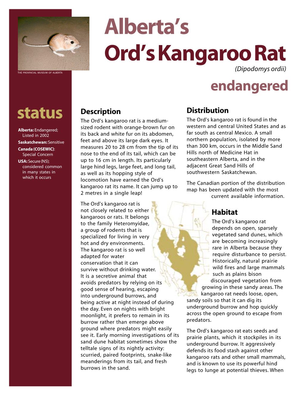 Albertas Ords Kangaroo