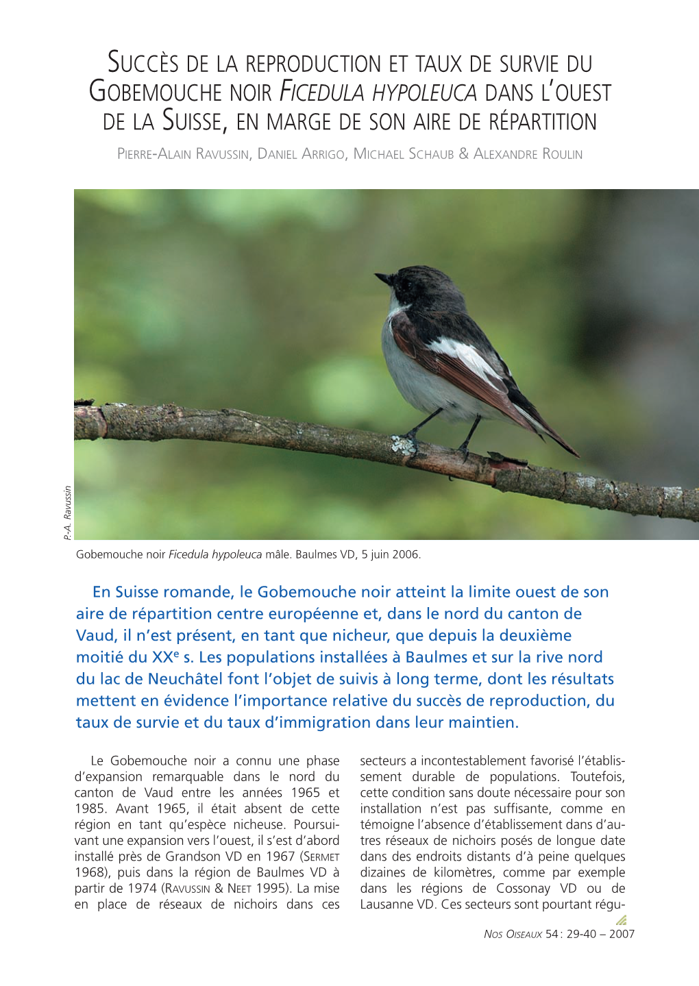 Succès De La Reproduction Et Taux De Survie Du Gobemouche Noir Ficedula Hypoleuca Dans L’Ouest De La Suisse, En Marge De Son Aire De Répartition