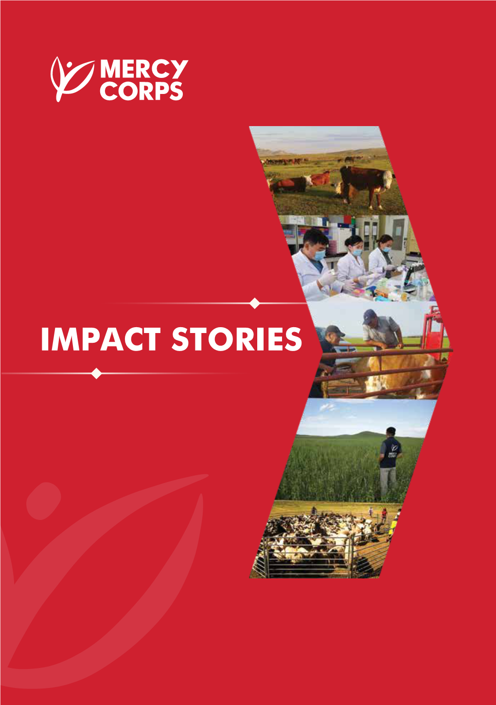 Impact Stories