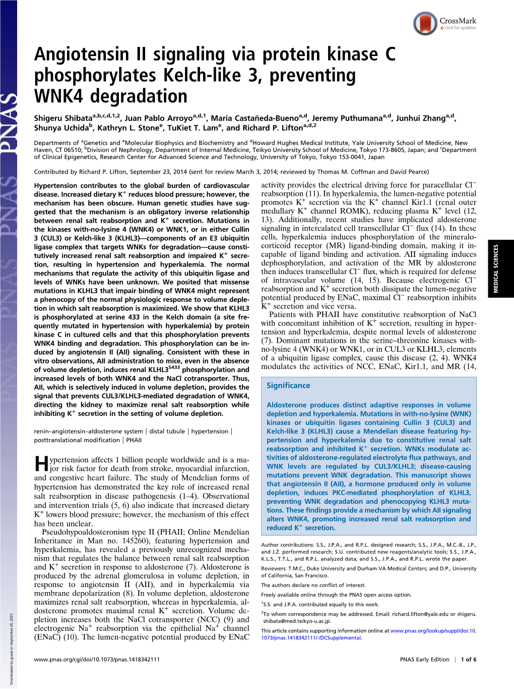 Angiotensin II Signaling Via Protein Kinase C Phosphorylates Kelch-Like 3, Preventing WNK4 Degradation