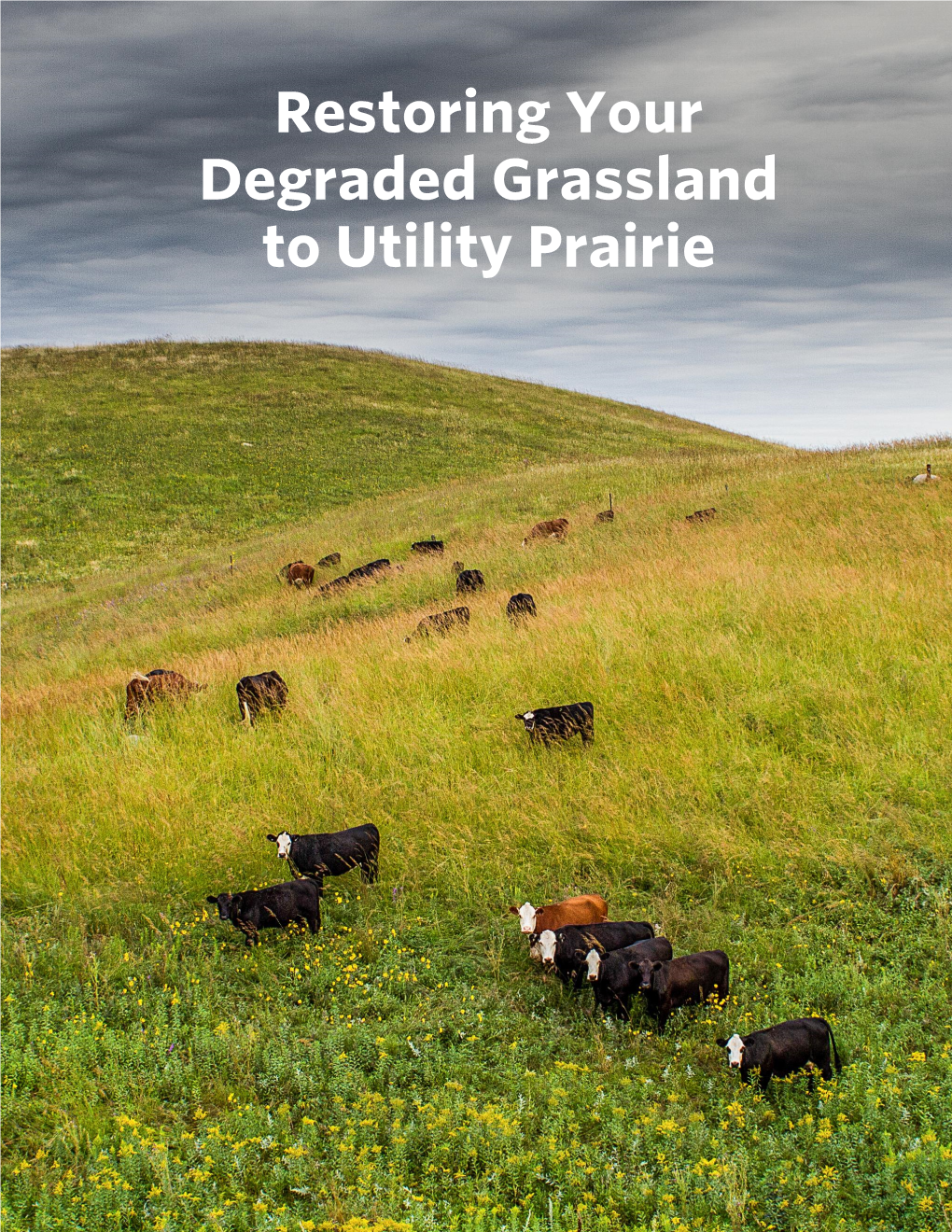 Degraded Grassland to Utility Prairie