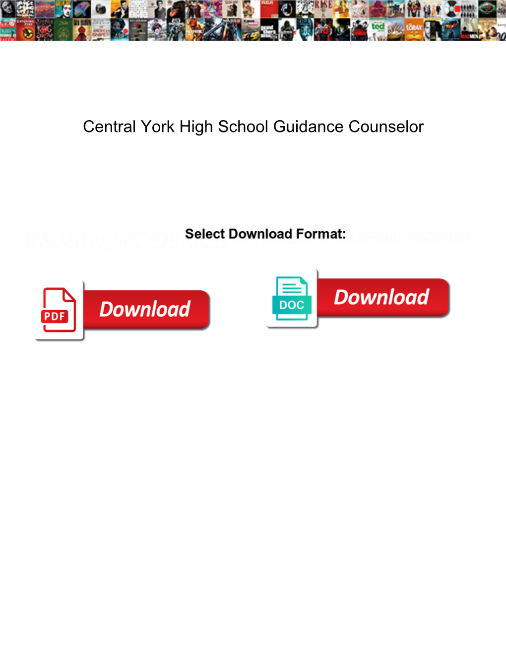 Central York High School Guidance Counselor