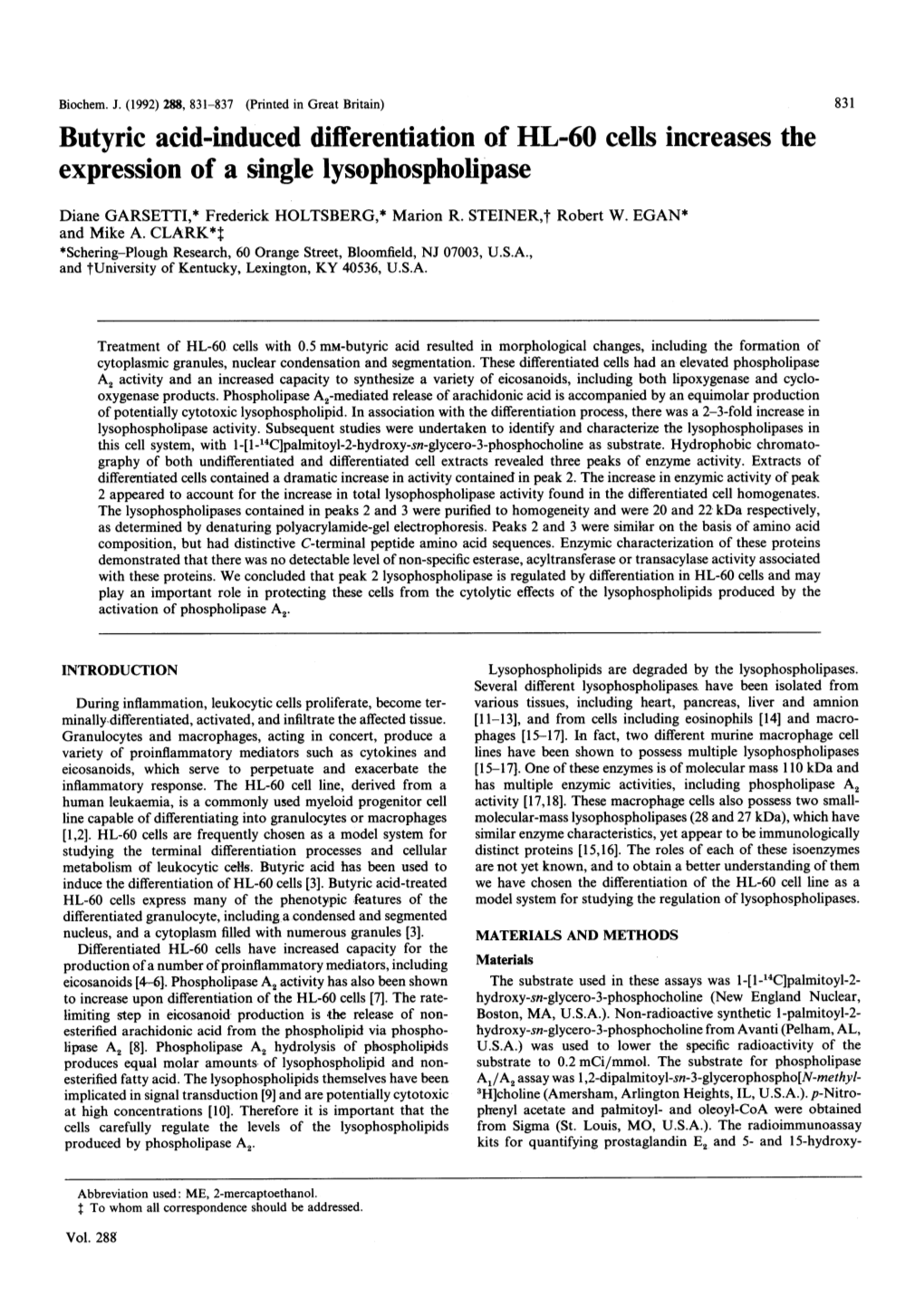 Expression of a Single Lysophospholipase