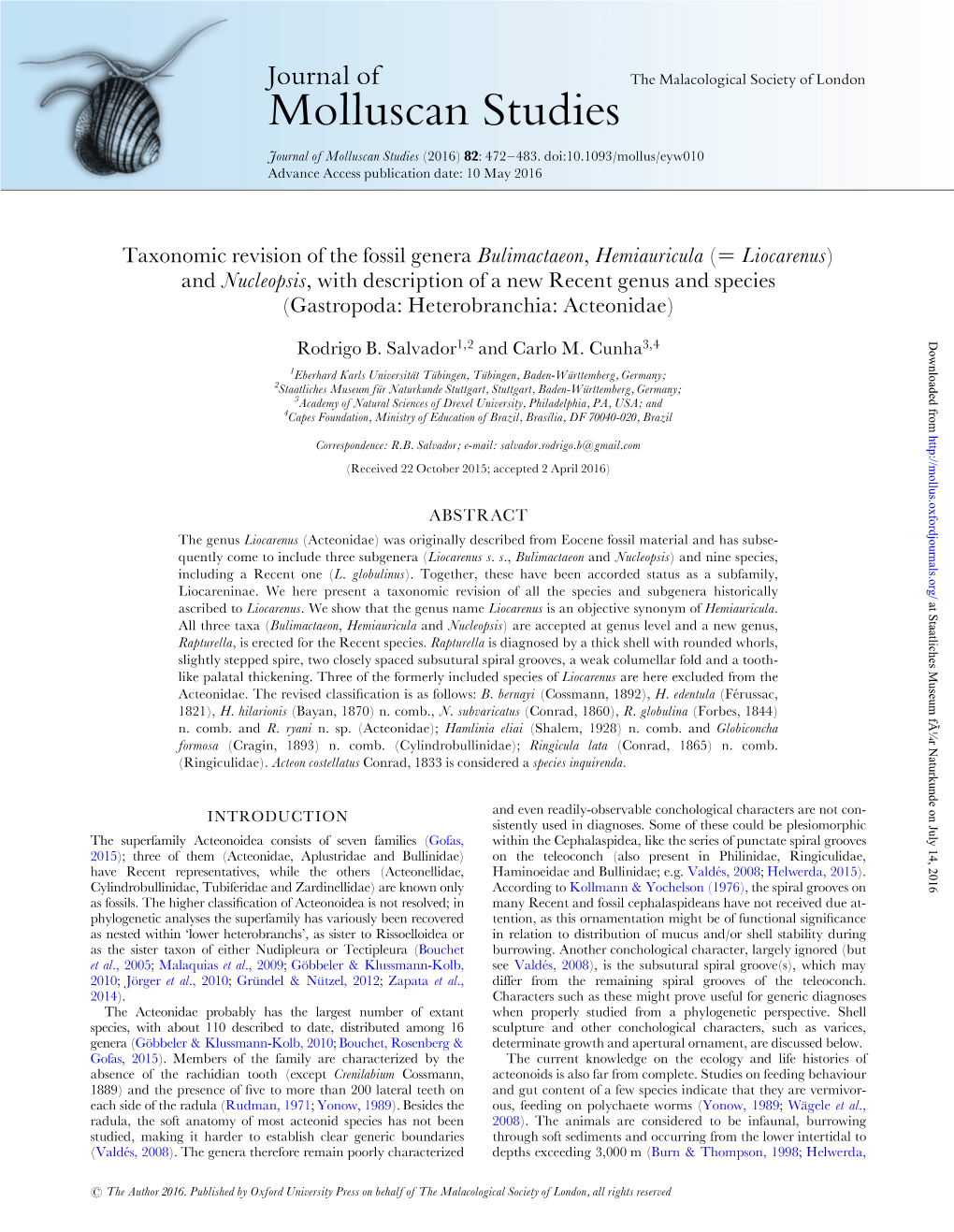 Taxonomic Revision of the Fossil Genera Bulimactaeon, Hemiauricula