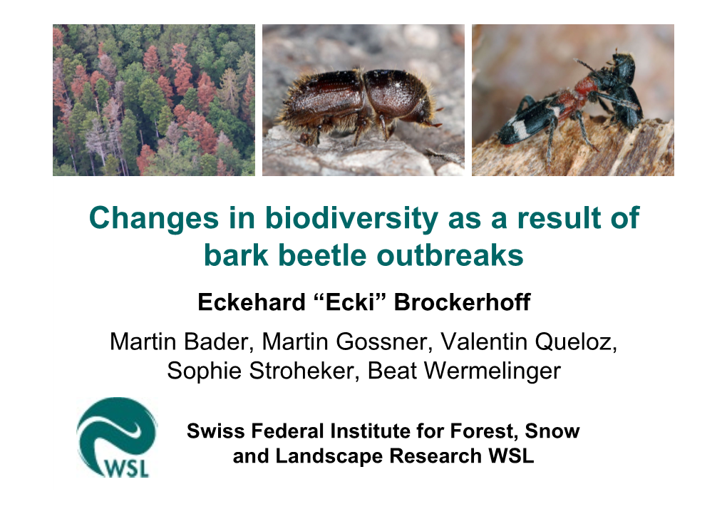 Changes in Biodiversity As a Result of Bark Beetle Outbreaks