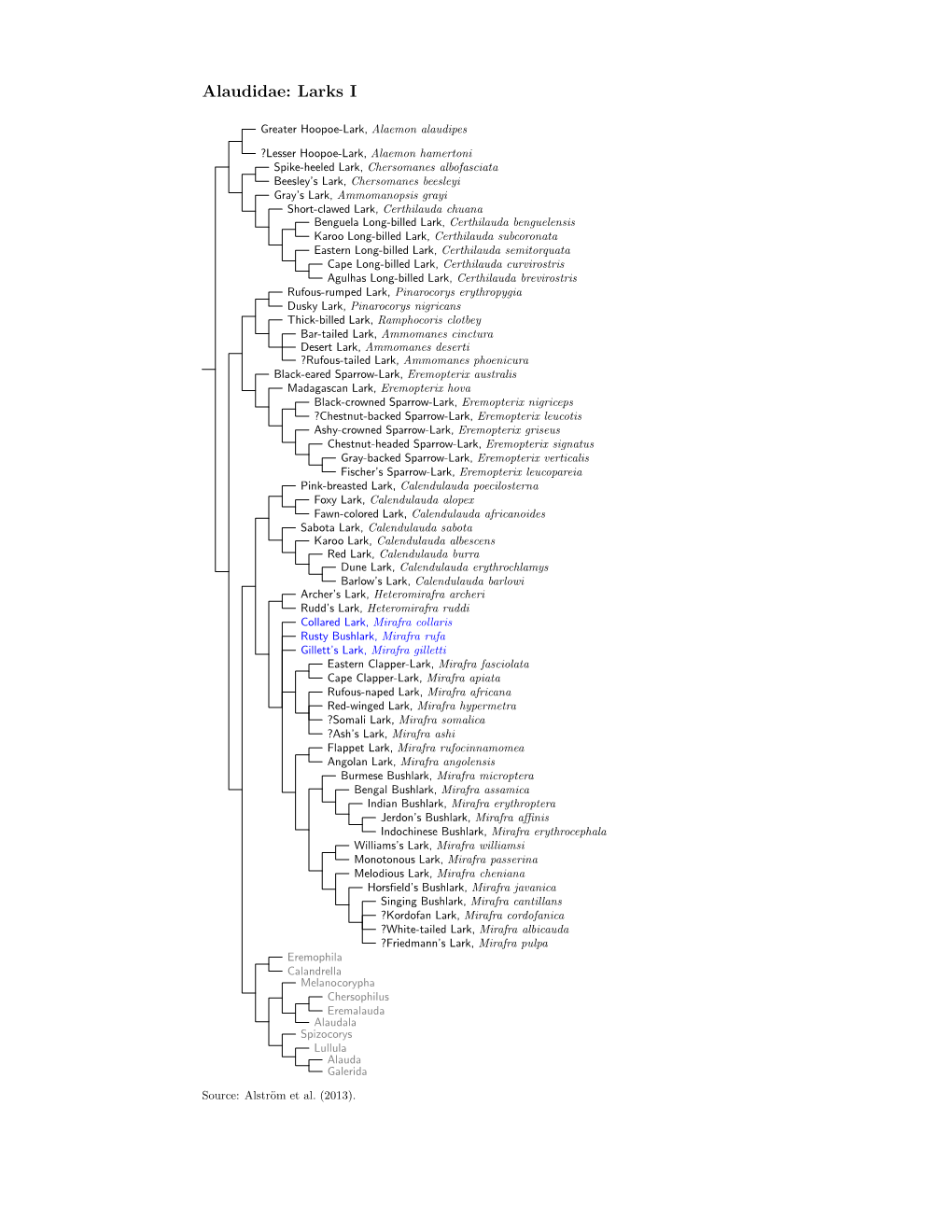 Alaudidae Species Tree