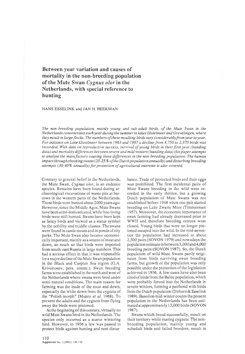 Between Year Variation and Causes of Mortality in the Non-Breeding Population of the Mute Swan Cygnus Olor in the Netherlands, with Special Reference to Hunting