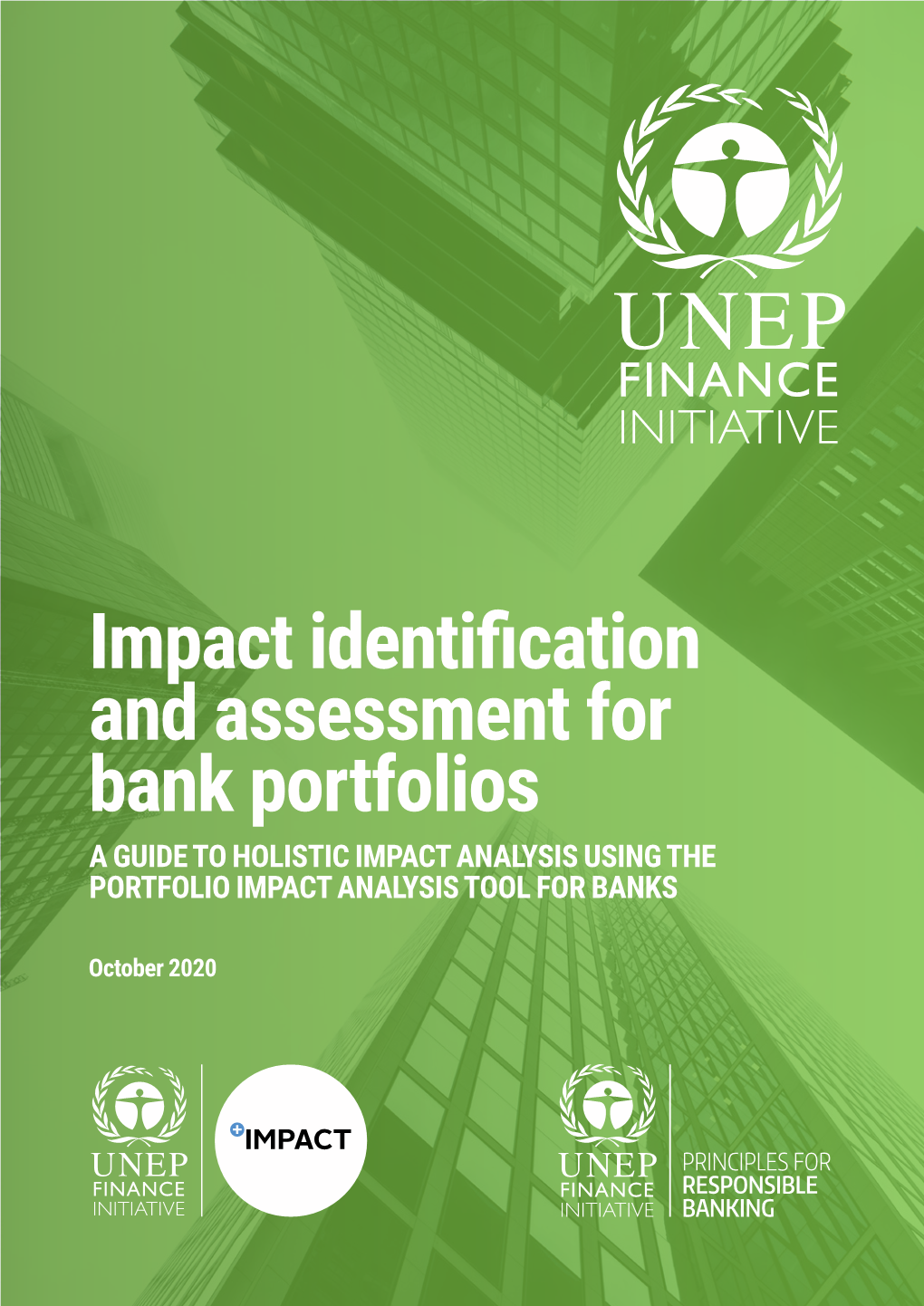 Impact Identification and Assessment for Bank Portfolios a GUIDE to HOLISTIC IMPACT ANALYSIS USING the PORTFOLIO IMPACT ANALYSIS TOOL for BANKS