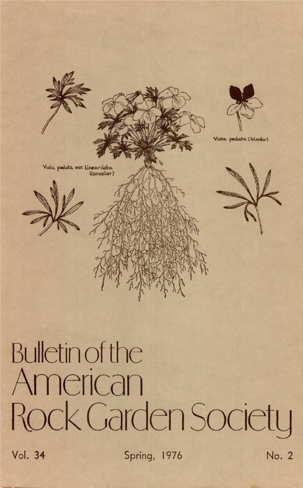 Bulletin of the American