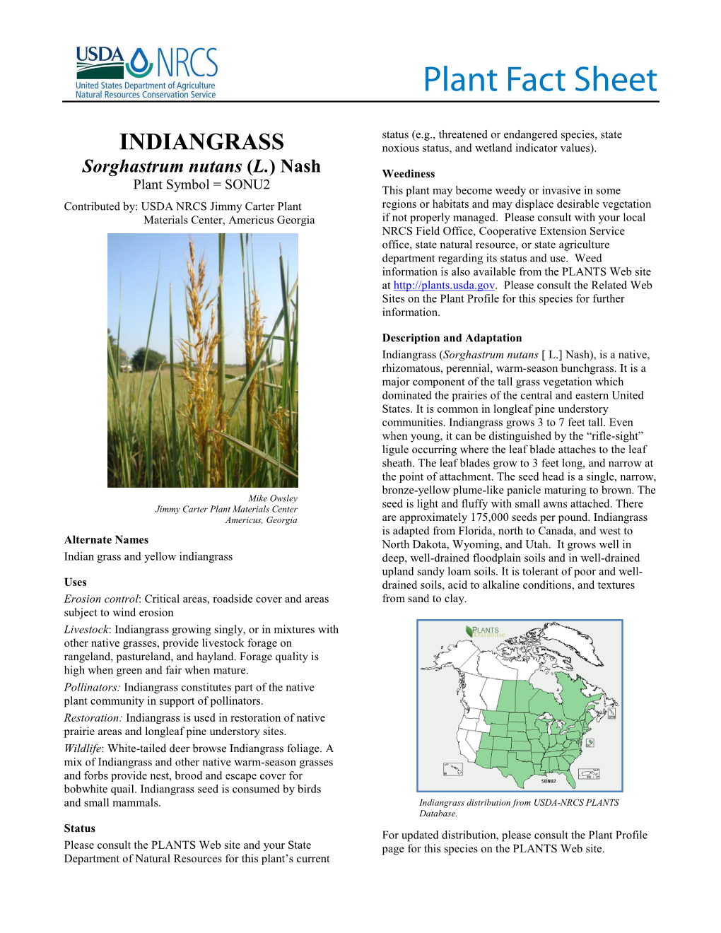 Indiangrass (Sorghastrum Nutans[ L.]Nash) Plant Fact Sheet