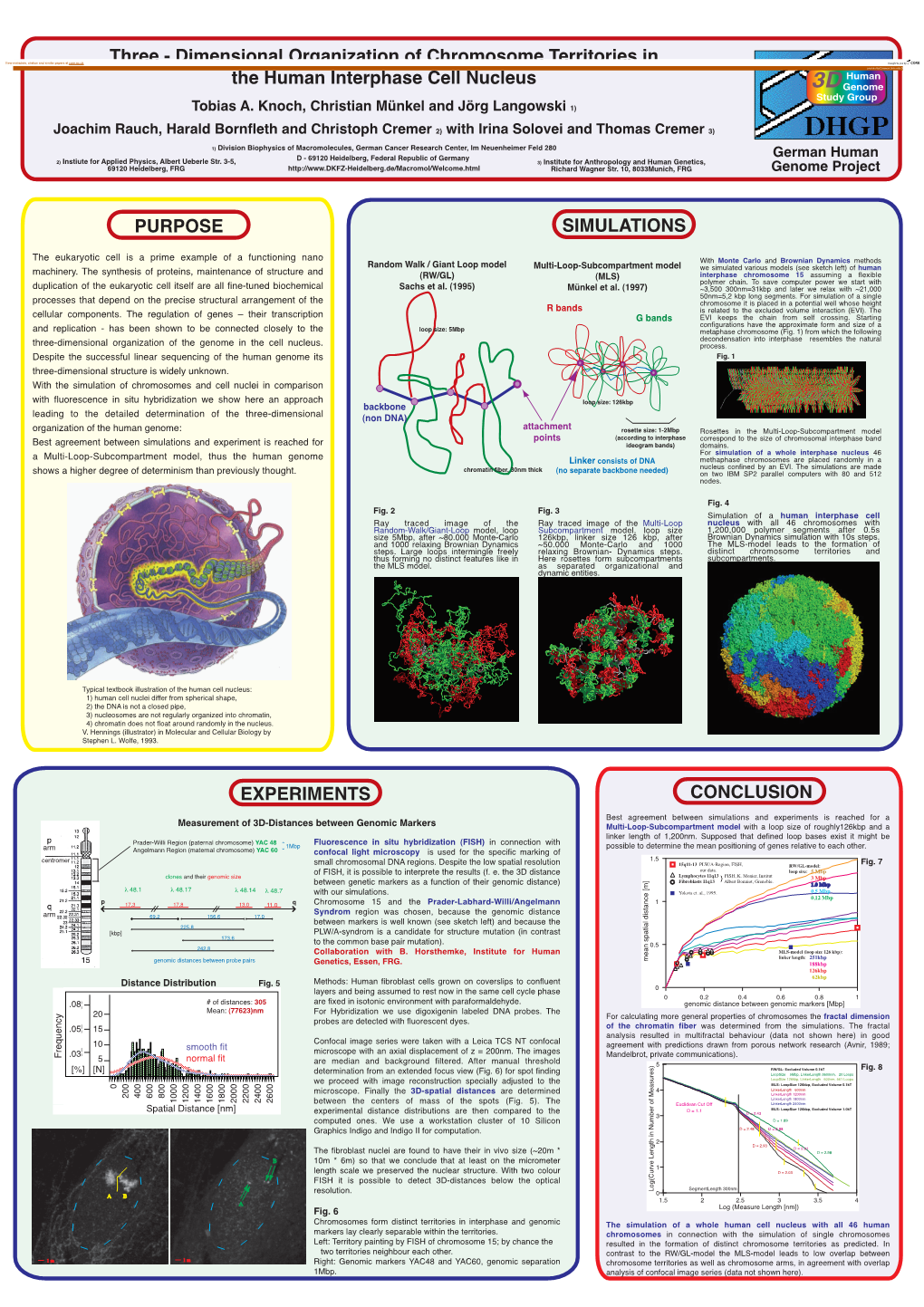 Dimensional Organization of Chromosome Territories In