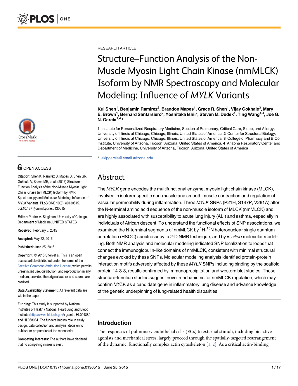 Structure–Function Analysis of the Non-Muscle Myosin Light Chain