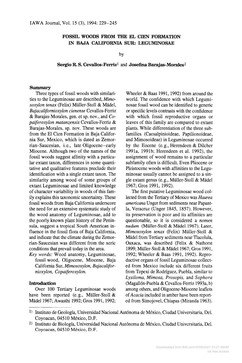 229-245 Fossil Woods from the El Cien Formation in Baja