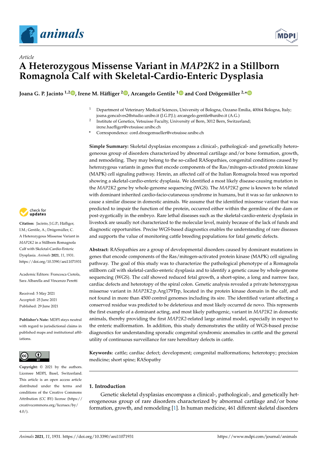 A Heterozygous Missense Variant in MAP2K2 in a Stillborn Romagnola Calf with Skeletal-Cardio-Enteric Dysplasia