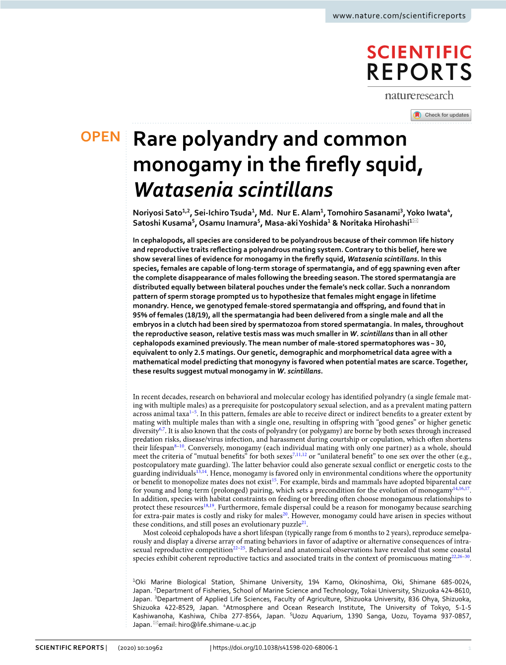 Rare Polyandry and Common Monogamy in the Firefly Squid