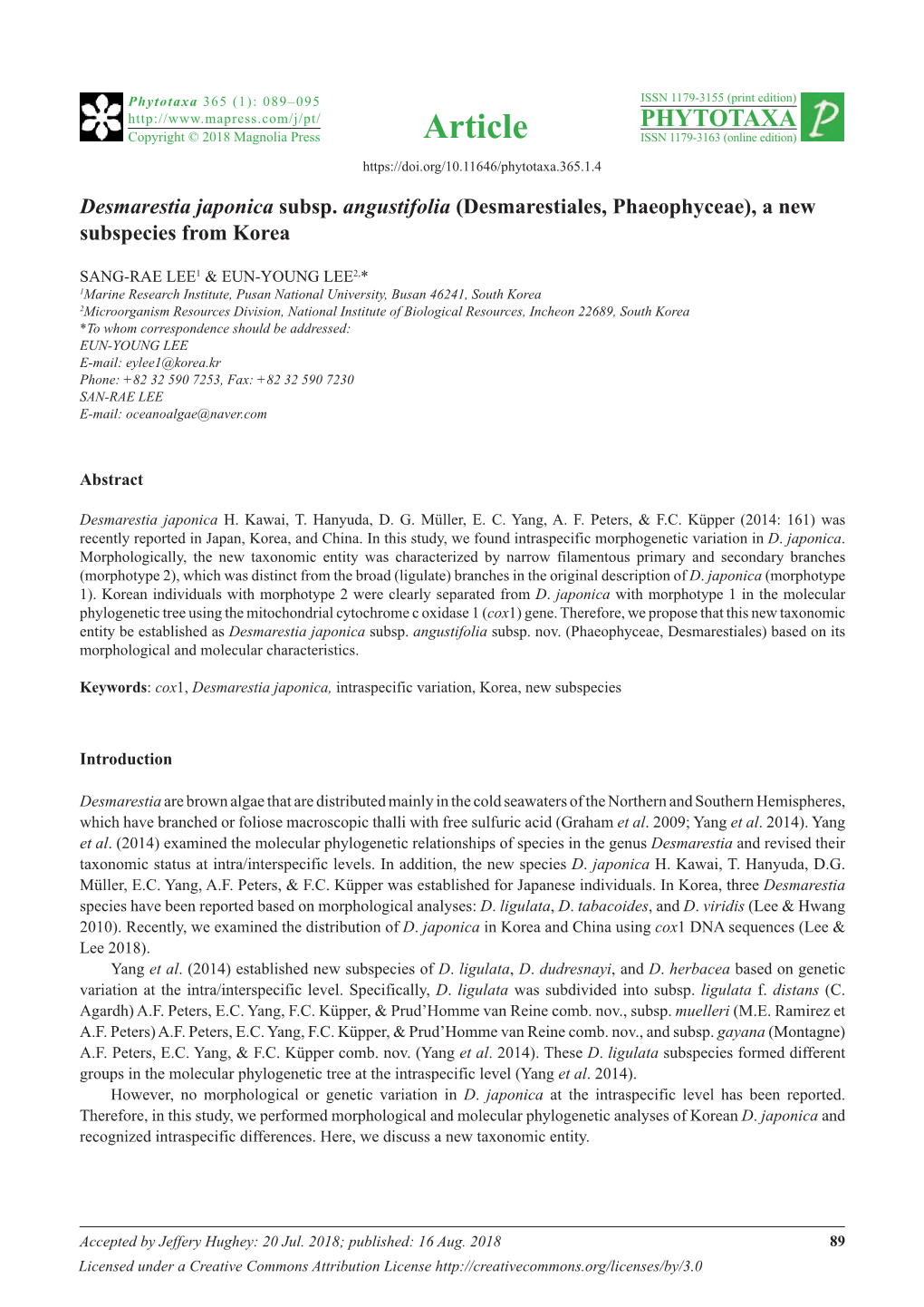 Desmarestia Japonica Subsp. Angustifolia (Desmarestiales, Phaeophyceae), a New Subspecies from Korea