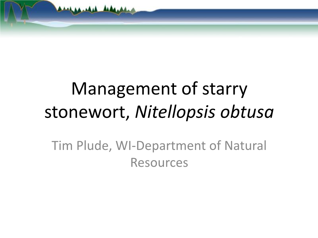 Past Management of Starry Stonewort