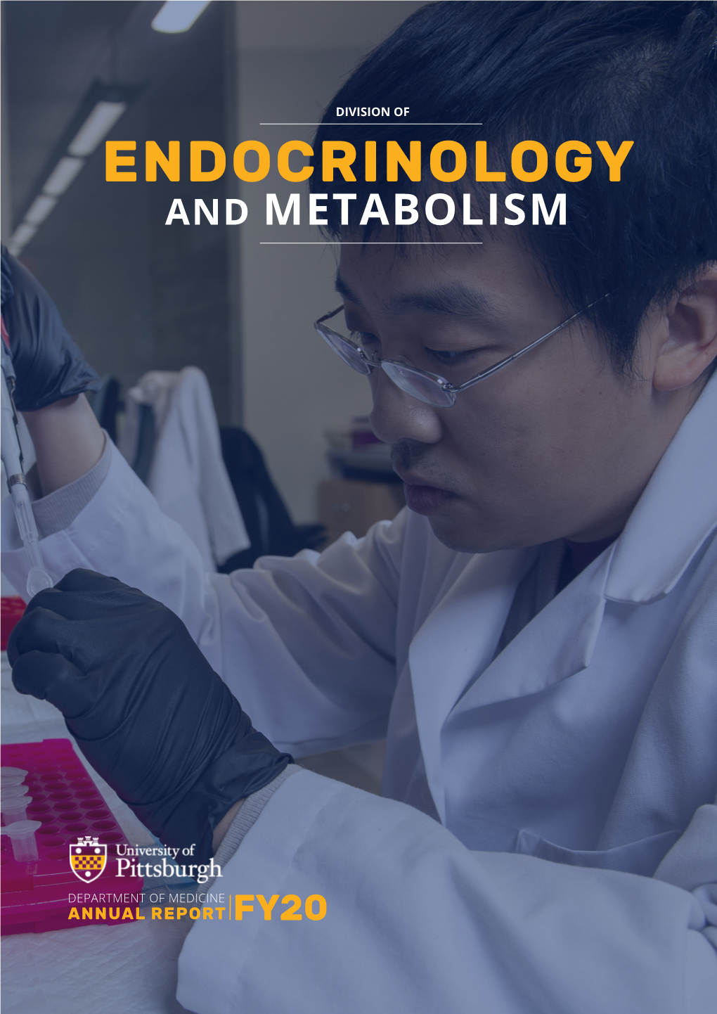 Endocrinology and Metabolism