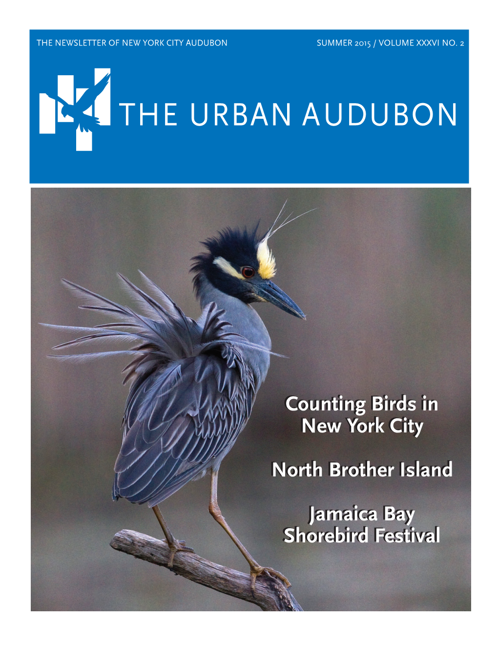 The Urban Audubon