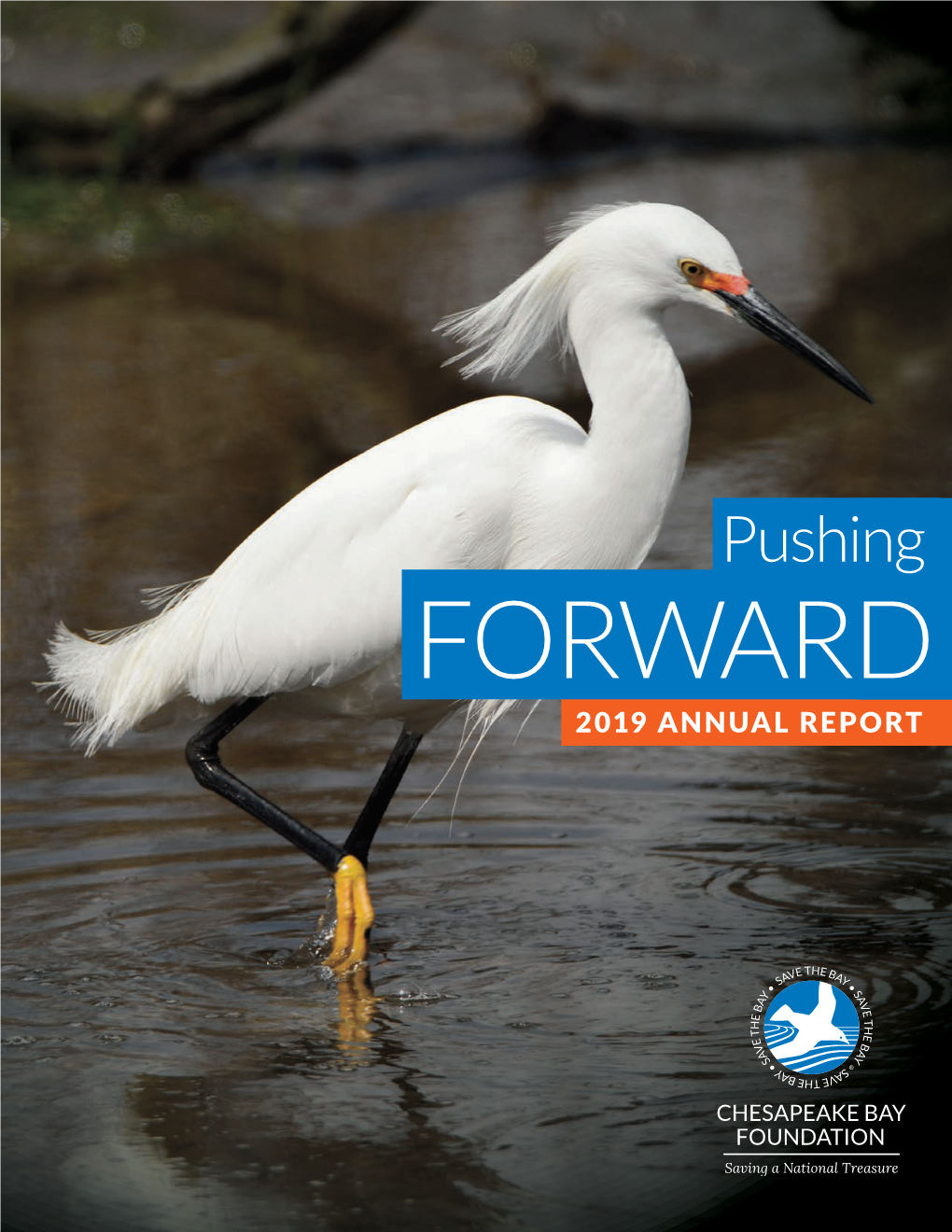 Pushing FORWARD 2019 ANNUAL REPORT We’Ve Led the Charge to Save the Chesapeake Bay for More Than Half a Century