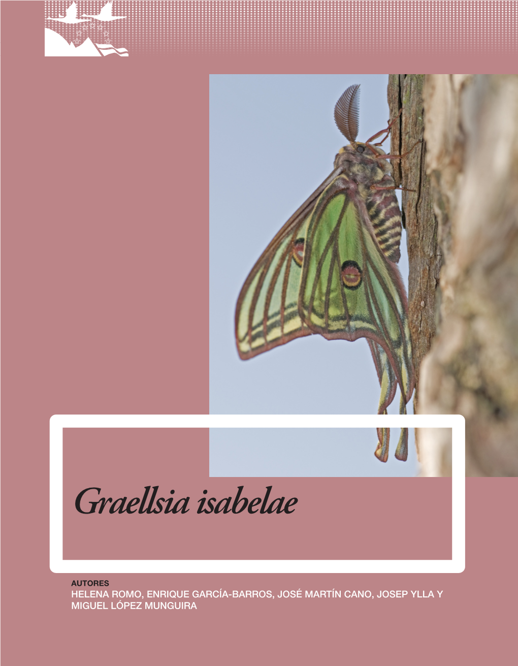 Graellsia Isabelae