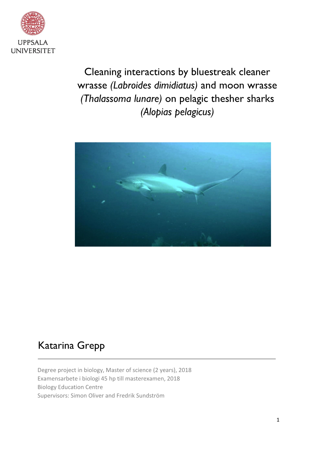 Cleaning Interactions by Bluestreak Cleaner Wrasse (Labroides Dimidiatus) and Moon Wrasse (Thalassoma Lunare) on Pelagic Thesher Sharks (Alopias Pelagicus)