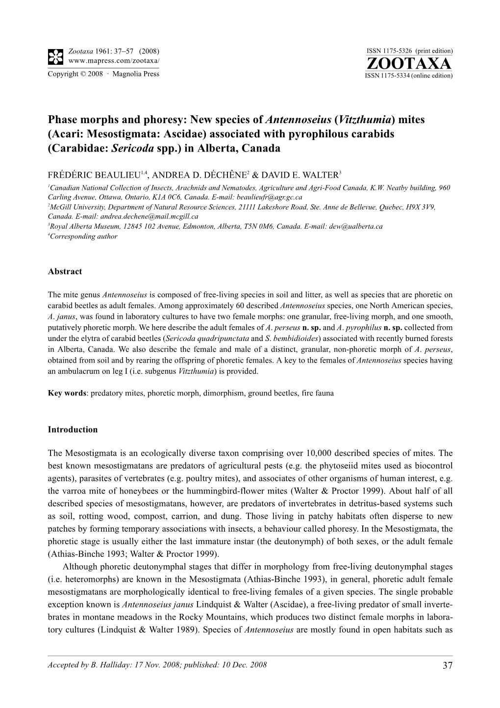 Zootaxa, Phase Morphs and Phoresy: New Species of Antennoseius