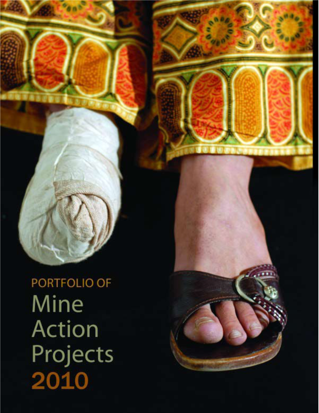 Portfolio of Mine Action Projects 2010 (PDF)