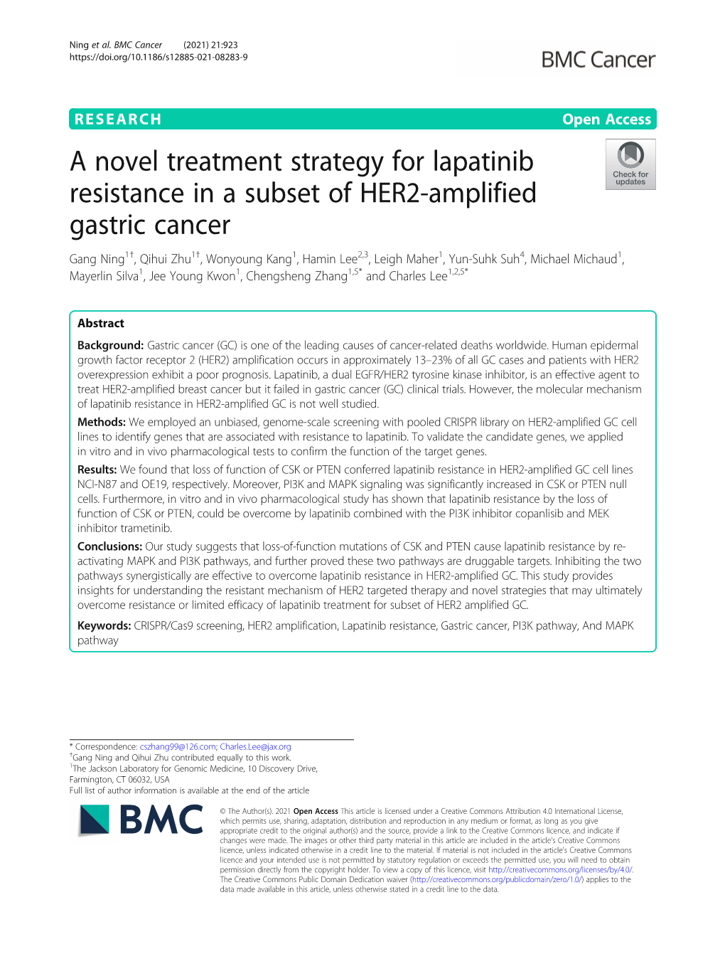 A Novel Treatment Strategy for Lapatinib Resistance in a Subset of HER2
