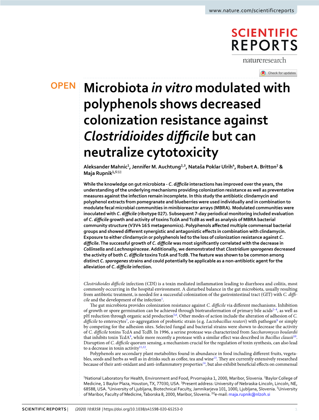 Microbiota in Vitro Modulated with Polyphenols Shows Decreased