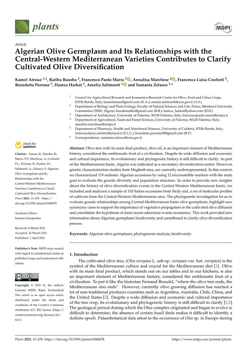 Algerian Olive Germplasm and Its Relationships with the Central-Western Mediterranean Varieties Contributes to Clarify Cultivated Olive Diversiﬁcation