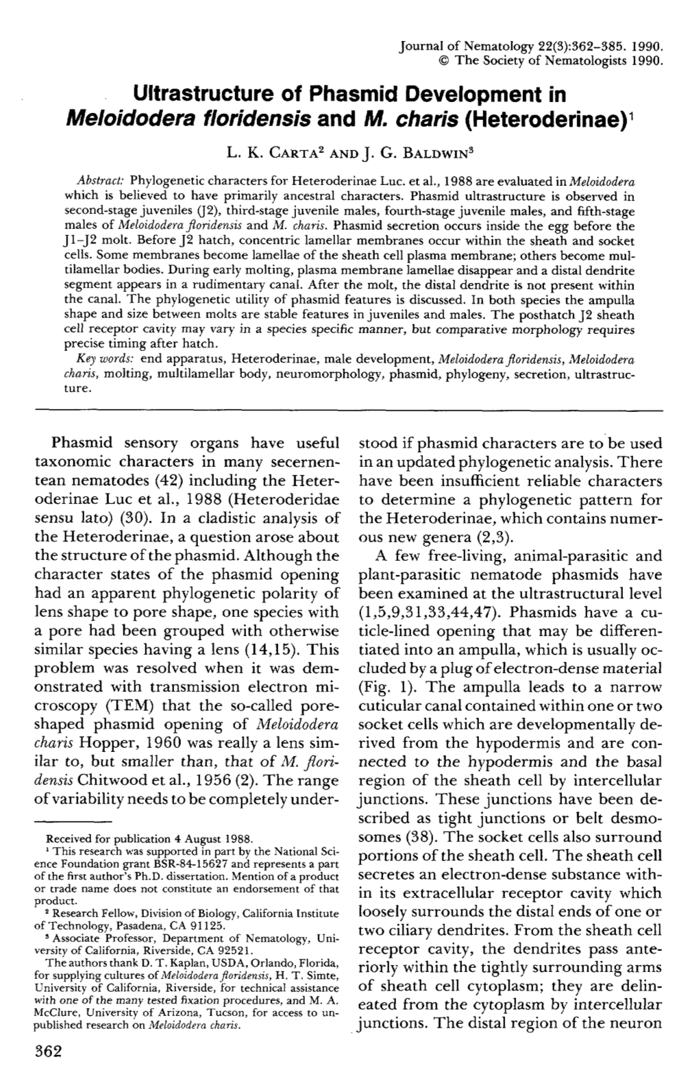 Oltrastructure of Phasmid Development in Meloidodera Floridensis and M