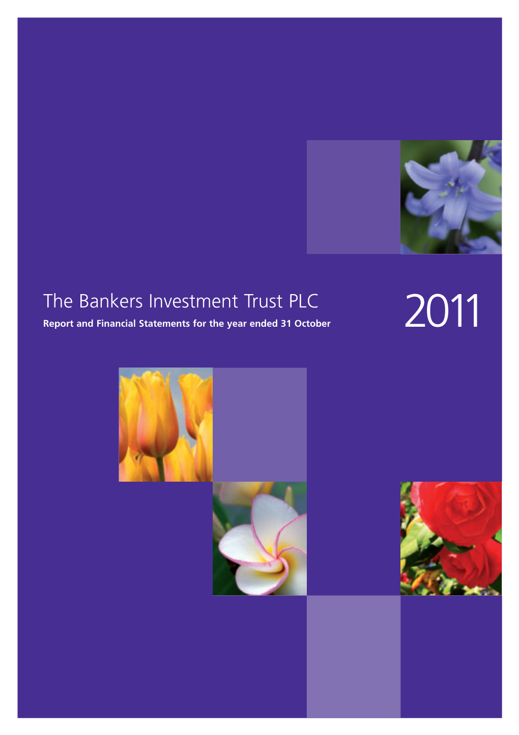 The Bankers Investment Trust PLC – Report and Financial Statements for the Year Ended 31 October
