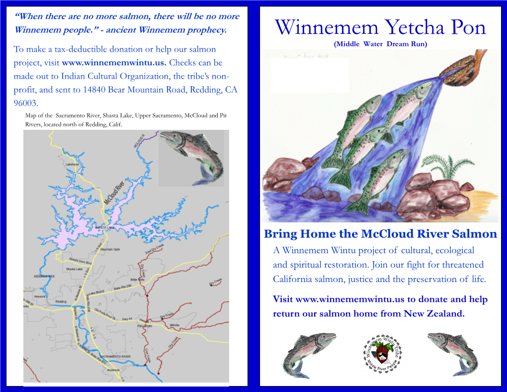 Winnemem Yetcha Pon (Middle Water Dream Run) to Make a Tax-Deductible Donation Or Help Our Salmon Project, Visit