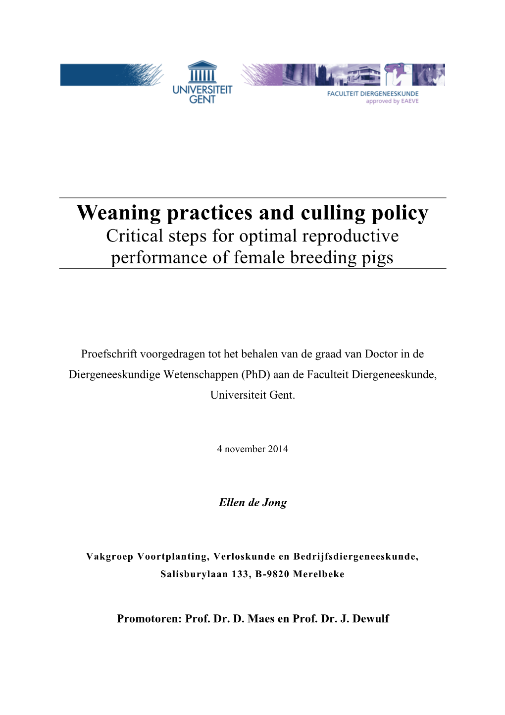 Critical Steps for Optimal Reproductive Performance of Female Breeding Pigs