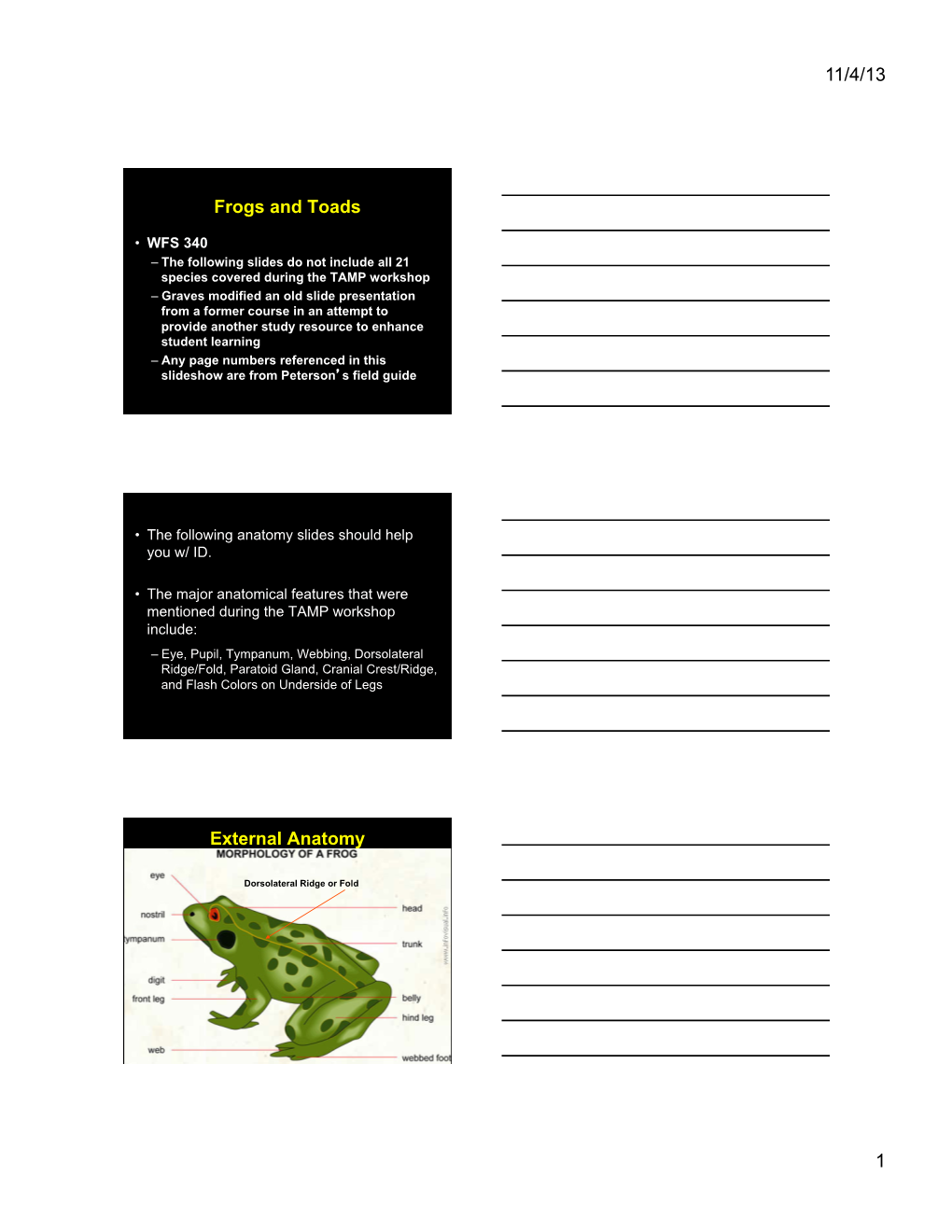 Frogs and Toads External Anatomy